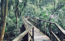 Lekki Conservation Centre