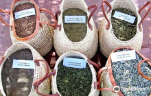 Jardin Bio Aromatique Nectarom...