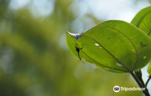 V.O.I.M.M.A. Community Reserve