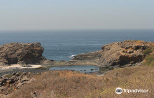 Saudi Arabia Embassy