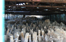 Polis Convention Centre