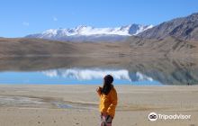 Central University of Jammu