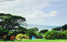 Bellefield Great House  Garde...