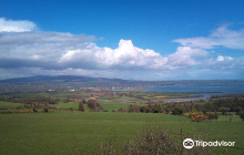 Ardmore Open Farm  Mini Zoo
