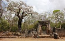 Gede Ruins