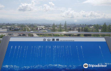 Yao B  G Marine Center Swimmi...