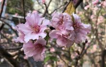 玻璃工艺博物馆