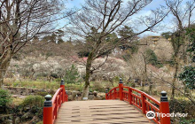 Atami Plum Garden