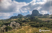 Nature Park Stara Planina