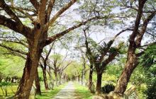 Botanical Garden