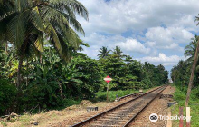 Tsunami Photo Museum