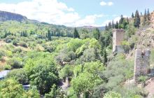 National Botanical Garden of G...