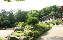 Museum Small Library