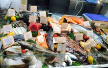 Red Stables Food Market