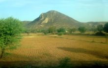 沙里斯卡老虎保护区