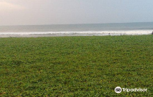 Guindy National Park