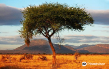 First African Dream Tours  Sa...