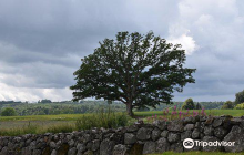 Midgard Historisk Senter