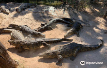 Livingstone Reptile Park