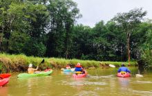 Pineapple Kayak Tours