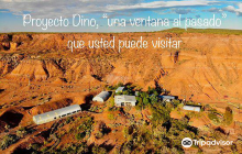 Proyecto Dino