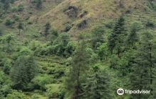 Tundah Widlife Sanctuary