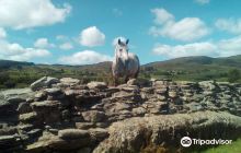 Store Of Memories Museum