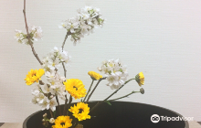 Japanese Style Flower Lesson -...