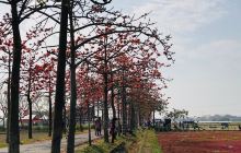 鹿耳門天后宮 Luermen Tianhou G...