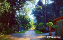 SESC Belenzinho