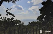 Museum Negeri Provinsi Maluku ...