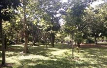 Santa Elena