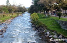 Galeria de Arte Hernan Illesca...