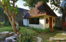 Nakamura The Healing Touch - S...