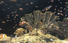 Bonner David Galleries