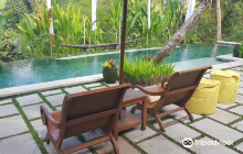 Ubud Sari Coffee Luwak Agrotou...