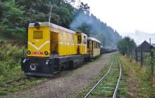 Gara Mocăniței (Mocăniţei ...