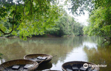 Konni Forest Reserve