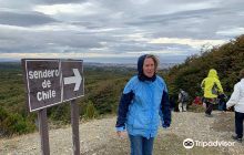 Reserva nacional Magallanes