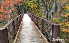 Sugamo Jizo-dori Shopping Stre...