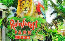 Rainforest Park Cebu