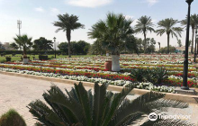 Al Wakrah Park