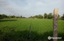 Garbarakshambigai Temple
