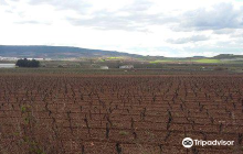Rioja Rentabike