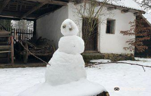 Gradina Zoologica Timisoara Pa...