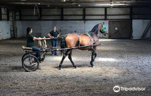 Grand Isle Lake House