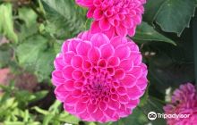 安纳波利斯罗亚尔历史公园