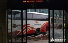 Hurdy Gurdy Museum of Vintage ...