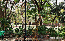 Crematorium, Sector 25, Chandi...