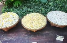 班坎姆希安博物馆